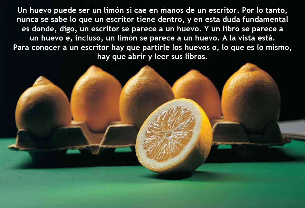 Foto limones